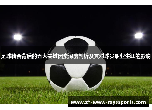 足球转会背后的五大关键因素深度剖析及其对球员职业生涯的影响 足球转会背后的五大关键因素深度剖析及其对球员职业生涯的影响