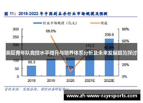 英超青年队竞技水平提升与培养体系分析及未来发展趋势探讨