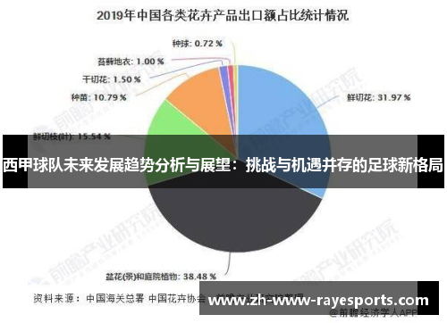 西甲球队未来发展趋势分析与展望：挑战与机遇并存的足球新格局